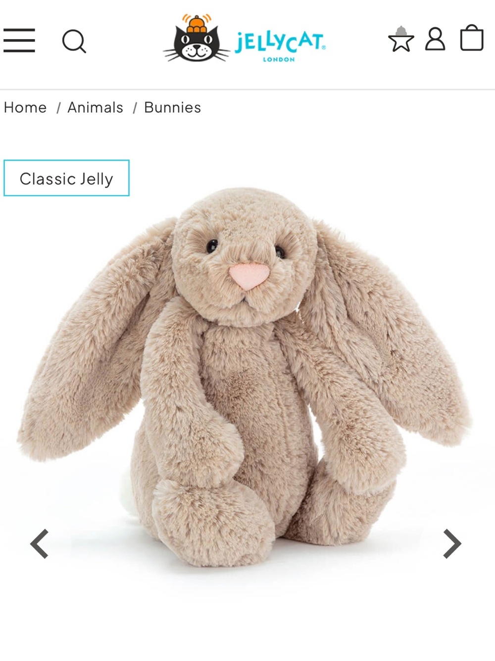 NWT Jellycat Beige Medium Bashful Bunny Plush